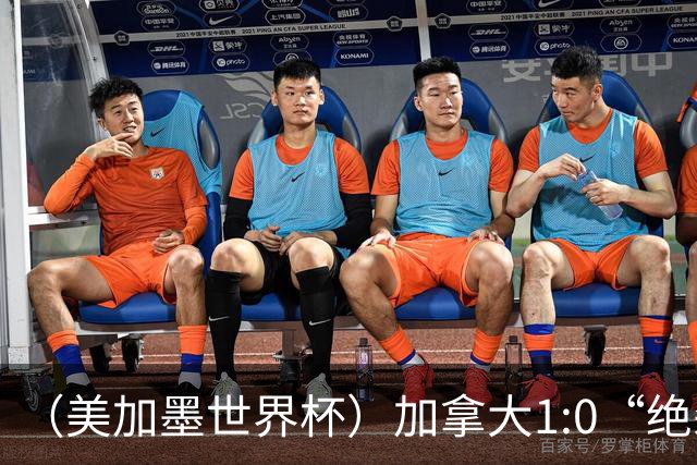 （美加墨世界杯）加拿大1:0“绝杀”南非 队史首进16强