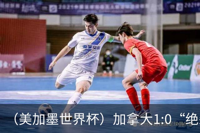 （美加墨世界杯）加拿大1:0“绝杀”南非 队史首进16强